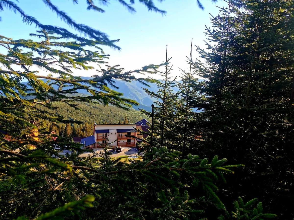 Complex Veverita Ranca Exteriör bild