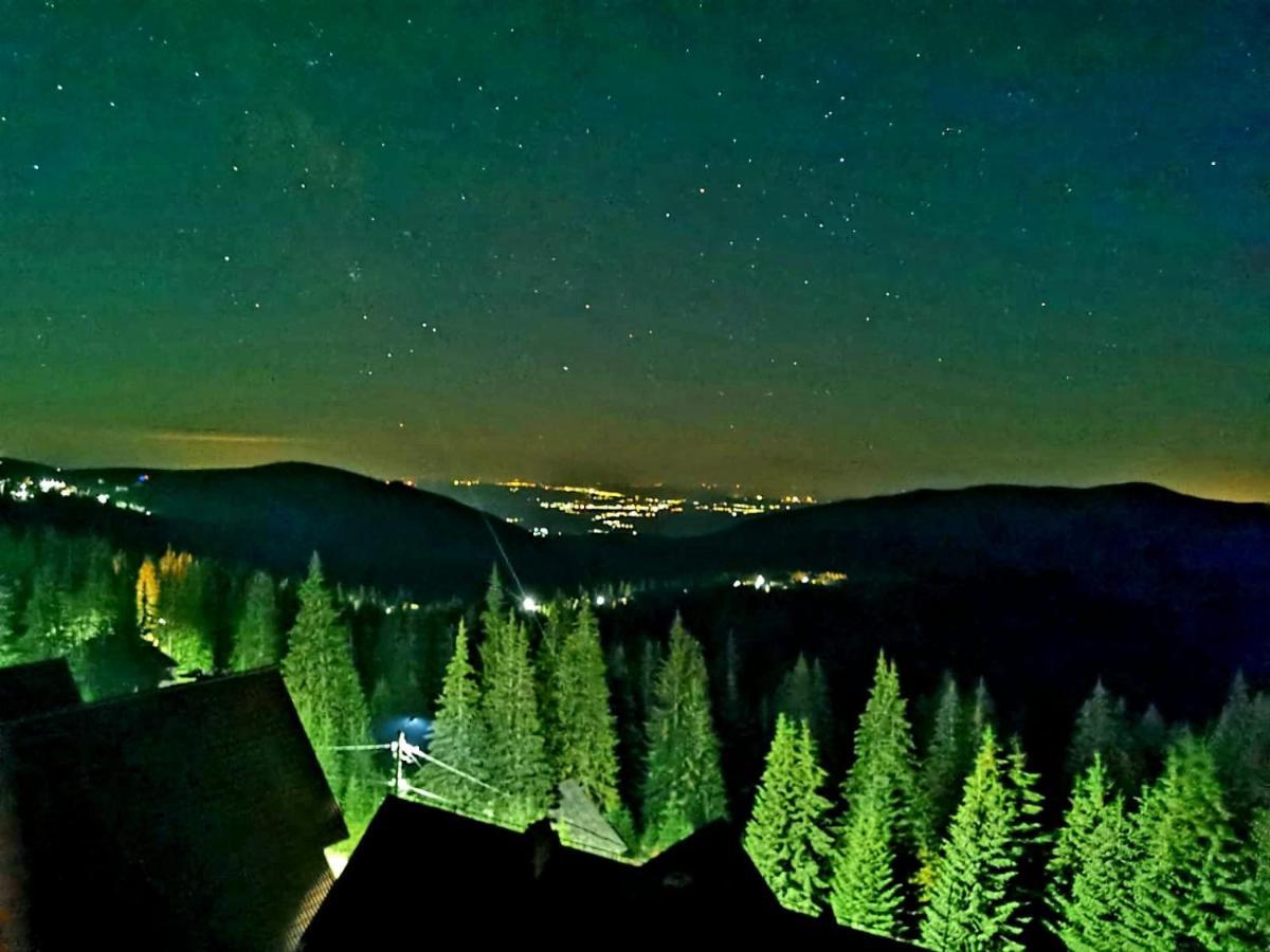 Complex Veverita Ranca Exteriör bild